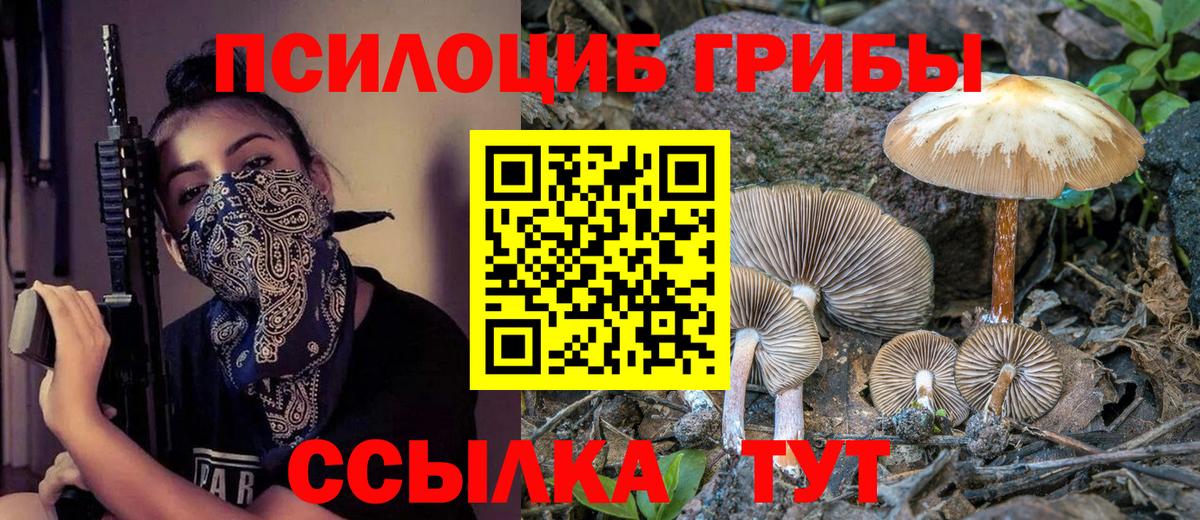 Галлюциногенные грибы мухоморы  Псилоцибиновые грибы прущие грибы  Апатиты  Вход с VPN 