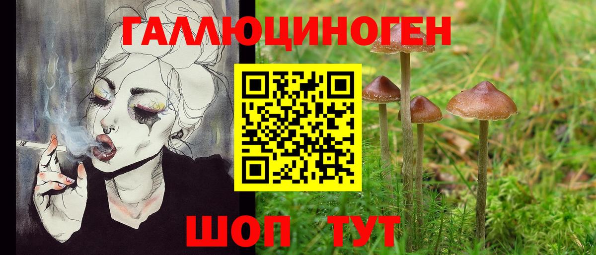 Галлюциногенные грибы Magic Shrooms Апатиты